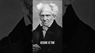 Desire Leads to Suffering schopenhauer [upl. by Agustin]