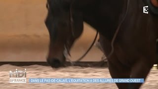 ANIMAUX amp NATURE  Dans le PasDeCalais l’équitation a des allures de Grand Ouest [upl. by Forsyth]