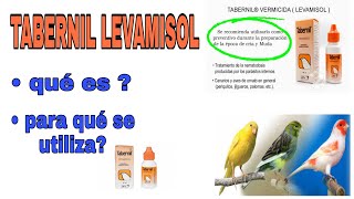 TABERNIL LEVAMISOL 💊 Qué es para qué se utiliza 🤷🏼‍♂️  1er paso de la PRECRIA 2021 🐣🐦 [upl. by Elset]