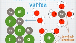 Salters löslighet i vatten gammal [upl. by Aohk]