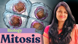 12th Science  Biology  Mitosis by Priyanka Shinde spectrumacademy ndapreparation biology [upl. by Klemm]