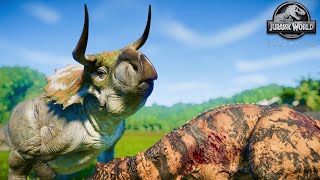 Nasutoceratops Brutal FIGHT Animations vs All DINOSAURS  Jurassic World Evolution [upl. by Nohcim]