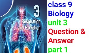 Class 9 Biology chapter 3 Respiration and Excresion Questions and Answers part 1Studytravelnew [upl. by Eilrac]