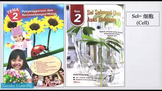 Tingkatan 1 Sains Bab 2 Sel Sebagai Unit Asas Hidupan 中文讲解 1 [upl. by Kathryn]