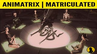 THE ANIMATRIX  Matriculated  Fnally Explained [upl. by Floria]