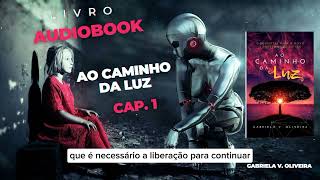 💡Audiobook  Ao caminho da luz 🟡 Parte 1 [upl. by Fidelity408]