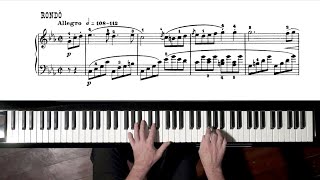 Beethoven Pathétique Sonata TUTORIAL 3rd Movement  P Barton FEURICH piano [upl. by Lagasse]