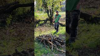 Abbattimento nel giardino di un albero gigante🌳🌲 [upl. by Nealey849]