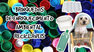 Brinquedos recicláveis de Enriquecimento Ambiental para o seu cão [upl. by Janina]