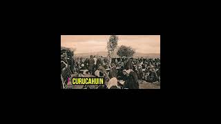 Los entierros Mapuches historia history chile shorts [upl. by Tran]