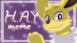 HAY  Animation Meme REMAKE  Eeveelutions [upl. by Yliah]