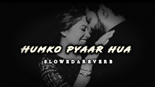 Humko Pyar Hua Slowed  Reverb use 🎧Lyrical song  Ready SalmanAsin  Tulsi Kumarkk  pritam [upl. by Eked]