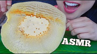 ASMR RAW HONEYCOMB RELAXING SOFT EATING SOUNDS NO TALKING  SASASMR [upl. by Peale419]