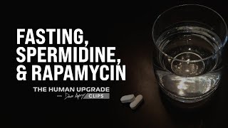 Fasting Spermidine and Rapamycin  Dr Elizabeth Yurth x Dave Asprey [upl. by Oak]