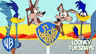 Looney Tuesdays  Coyote Will Never Give Up  Looney Tunes  WB Kids [upl. by Naval644]