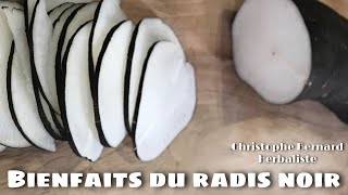 Crème de radis pour le dîner  La prochaine star de votre table  Si délicieux [upl. by Landan]