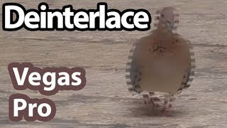 How to Deinterlace videos in Vegas Pro Horizontal Lines Double Image [upl. by Acinoed]