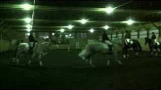 Four Horse Quadrille by the Meridian EquiDance Company [upl. by Sergias]