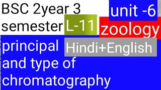 BSC 2nd year 3 zoology topic Principle and type of chromatography [upl. by Eneirda]