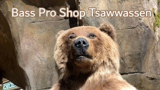 Taxidermy Bear at the Bass Pro Shop [upl. by Edd]