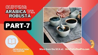 Part 7  SCA Introduction to Coffee CourseCupping Arabica vs Robusta Species [upl. by Cence]