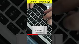 use of the toggle keys shorts [upl. by Altheta185]