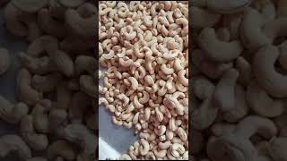 processed cashew nuts W320 and W240 Whatsapp 2348117091177 [upl. by Romelle]