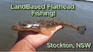 LandBased Flathead Fishing  Stockton NSW [upl. by Noelani]