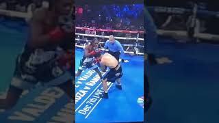 UpCloseSloMo Keyshawn Davis final combo sends both Lemos amp ref flying boxing boxeo [upl. by Leidba]