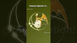 Patamon Evolution to Angemon [upl. by Dnalrag]