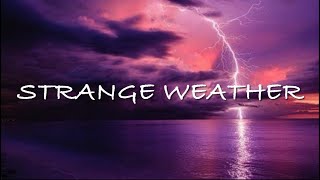 Odd Squad  Strange Weather  Lyric Version [upl. by Niwrad979]