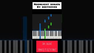 Sonata księżycowa Beethovena na pianinie 🎹 shorts piano beethoven easypiano nuty pianolessons [upl. by Josy200]