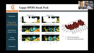 DDPS  “Datadriven techniques for analysis of turbulent flows” [upl. by Onirefez569]