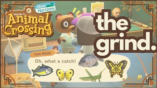 02 ❀ hustlin for that Blathers tent kit「lets play ACNH」 [upl. by Hcelemile968]