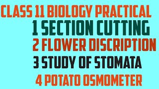 Class 11 biology practical core experiments and slide [upl. by Ninel]