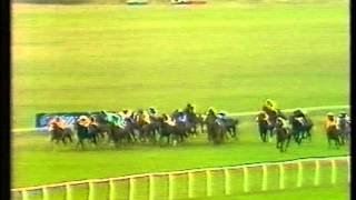 1983 Tote Cesarewitch Handicap [upl. by Teplica]