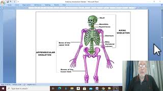 Introduction to anatomy 4 Bones  part 1  by Dr Wahdan [upl. by Aikemet]