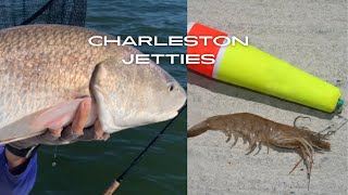 What Will Live Shrimp and Crabs Catch at the Charleston Jetties HD 1080p [upl. by Wernda]