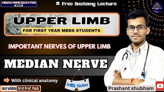 Median Nerve Anatomy  Course amp Branches  Median nerve 3D anatomy  Carpel tunnel syndrome mbbs [upl. by Cornew142]