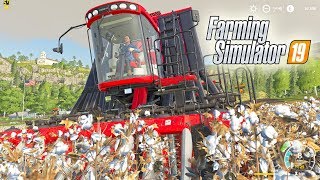 Farming Simulator 19  Cotton Harvest  Was It a Good Investment [upl. by Arrotal]