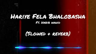 Hariye Fela Bhalobasha ft Habib Wahid  Slowed amp Reverb [upl. by Aurie]