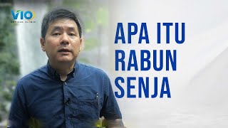 APA ITU RABUN SENJA NYCTALOPIA [upl. by Hestia]