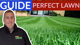 When is the BEST time to scarify a lawn  PERFECT lawn before amp After [upl. by Canale]