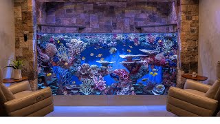 Massive Custom Home Aquarium  3000g Saltwater  Large Fish Tank Build [upl. by Heinrike]