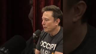 Joe Rogan and Elon Musk Talk About Pnut The Squirrel jreclips comedian 2024election podcast [upl. by Baptista]