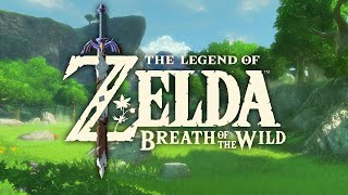 Molduga Battle  The Legend of Zelda Breath of the Wild [upl. by Hinch702]