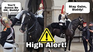 High Alert Kings Horse Gets SPOOKED During PROTEST [upl. by Ariem]