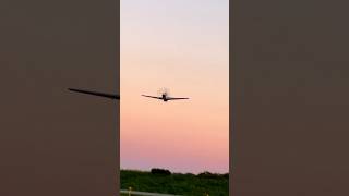 P51 Mustang Low Pass Wild wild fast low mustang sunset speed magic shorts p51mustang [upl. by Prescott335]