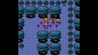 How to get Cut HM01 by finding Farfetchd in Ilex Forest Gen 2  Pokémon Crystal [upl. by Eelirol287]