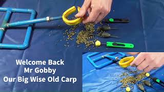 How The Zebedee helps with short rigs and solid PVA bags [upl. by Danni]